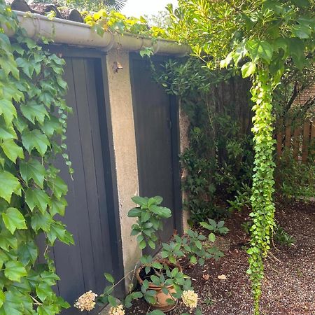 Appartement Cosy Avec Jardin Quartier Calme Toulouse Exterior photo